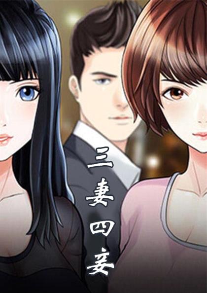三妻四妾 海报