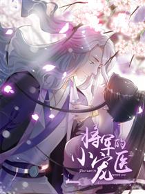 将军的小宠医 海报