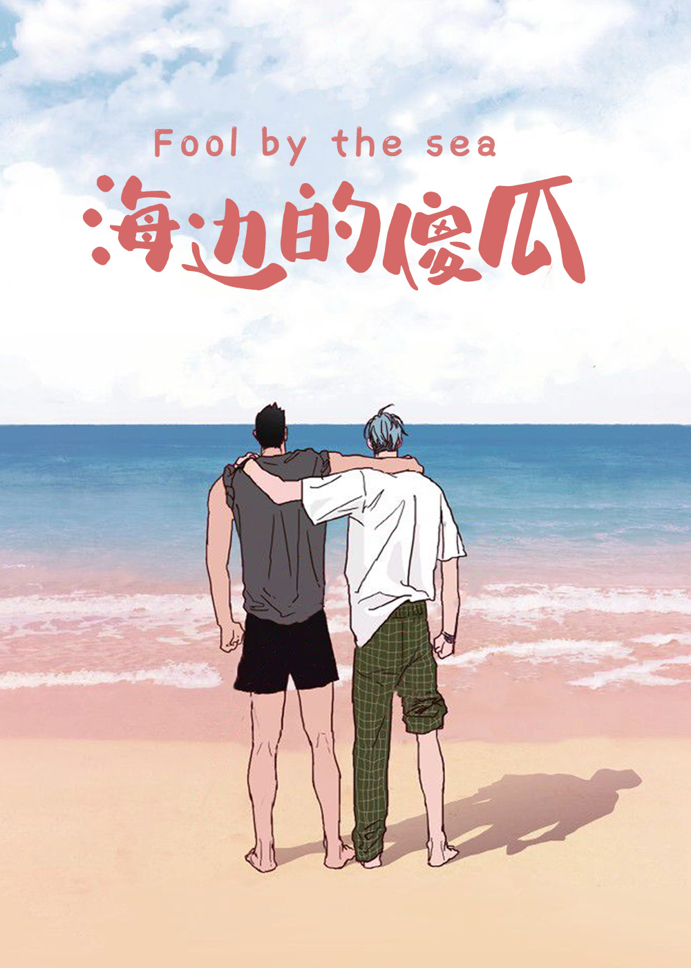 海边的傻瓜 海报